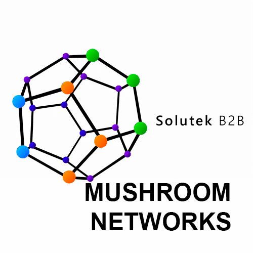 Montaje de routers Mushroom Networks